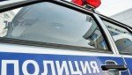 Нападение собаки на ребенка в Вилючинске: полиция провела проверку
